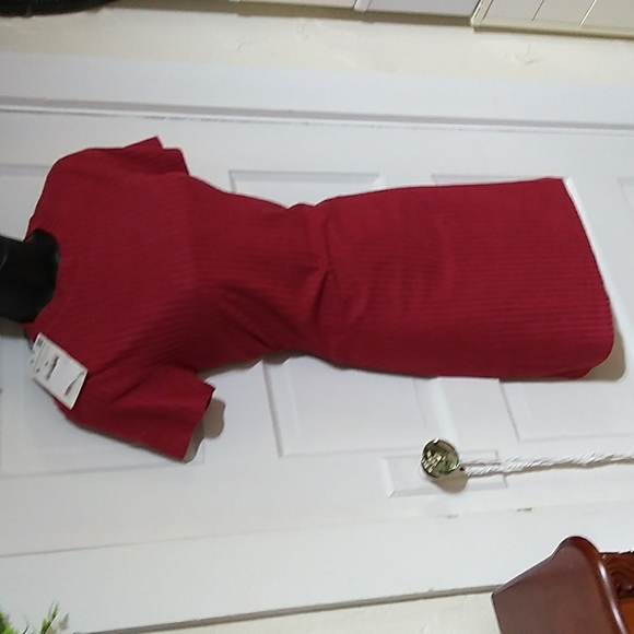 NWT Zara Red Ribbed CrewNeck Shift Dress - Picture 2 of 5